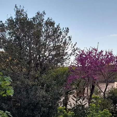 Apartament Le Du Tarn Aguessac