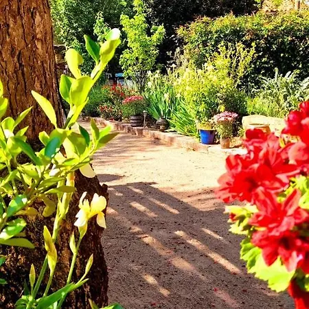 Appartement Le Du Tarn Aguessac