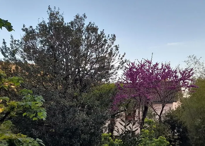 דירה Le Du Tarn Aguessac